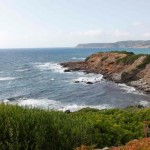 Proteggiamo tre preziose aree costiere in Italia